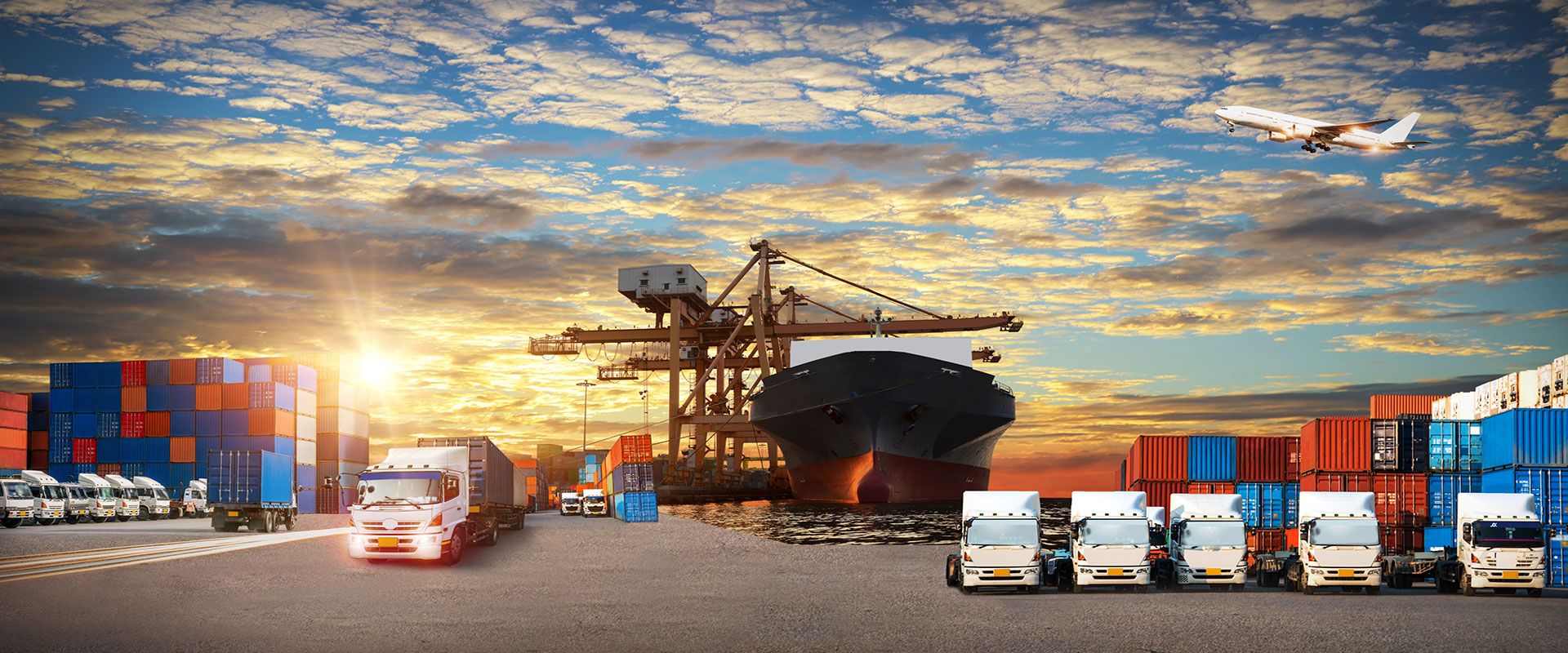 Torbalı Taşımacılık