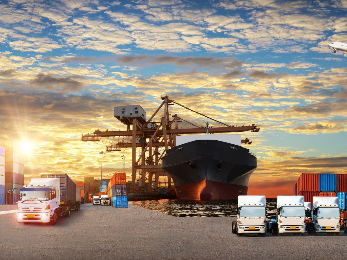 Torbalı Nakliyat Firması